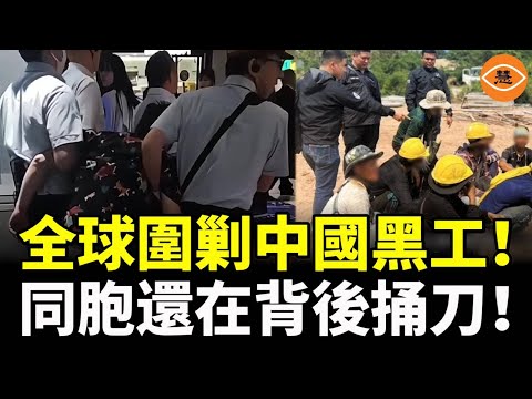 中國人海外務工的末日來了！中國勞工遭全球圍剿，非法打工被當場帶走！同胞還在背後捅刀！