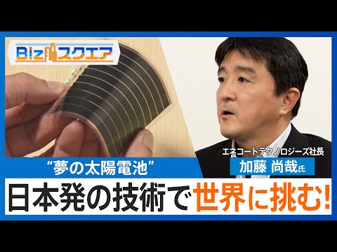 車の屋根からスマホまで 設置場所を選ばない“夢の太陽電池”「ペロブスカイト太陽電池」 日本発の技術で世界に挑め!【Bizスクエア】