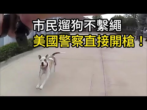 市民遛狗不繫繩，美國警察直接開槍！