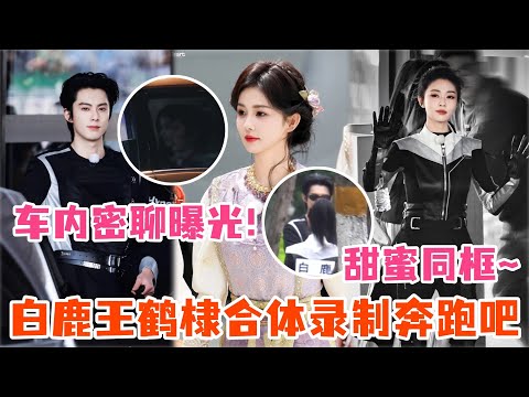 白鹿王鹤棣车内密聊曝光！全程对视互动氛围拉满！孟子义惊喜加入变修罗场？#白鹿 #王鹤棣 #周深 #孟子义 #宋雨琦 #张真源 #以爱为营 #你好星期六 #奔跑吧