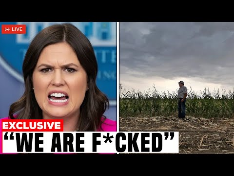 Governor Of Arkansas Shocked Because Farmers are destroying their own Crops but Why?