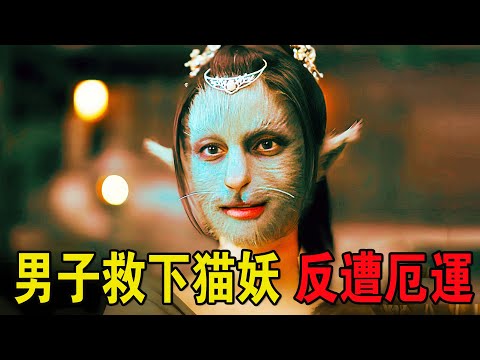 男子救下千年貓妖,貓妖換皮報恩,最終反遭厄運!奇幻武俠猛片