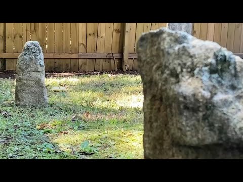 Man discovers 40-50 graves of enslaved people on newly purchased property, unlocking past secrets