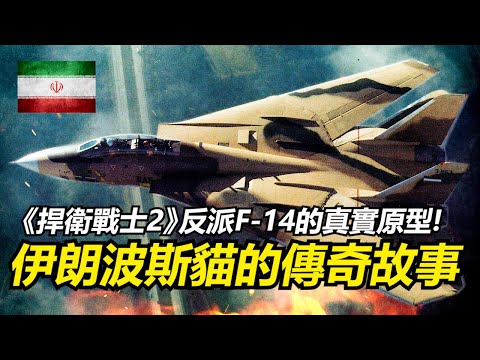 【瘋聊軍事】《捍衛戰士2》中反派F-14的真實故事!昔日伊朗的超豪華空軍怎麼殞落的? | 巴勒維王朝 | 伊朗如何買到F-14? | 波斯貓的傳奇一戰 | 世上最後的F-14 |