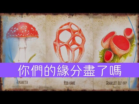 你們的緣分儘了嗎？他是否想放弃了你和這段關系，他還愛你嗎？|斷聯|卡頓|分手|停滯|塔羅占卜