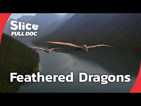 The Evolution of Birds: From Feathered Dinosaurs to Flight | FULL DOCUMENTARY