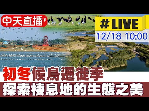 【中天直播#LIVE】初冬候鳥遷徙季 探索棲息地的生態之美 20251218 @全球大視野Global_Vision