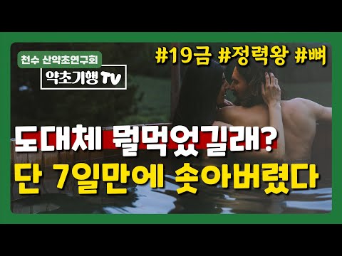 도대체 뭘 먹었길래? 단 7일만에 정력왕이 됐어요 [약초방송]