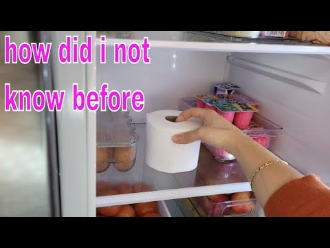Put a Roll of Toilet paper in your Fridge 😱  and you will be surprised what happens