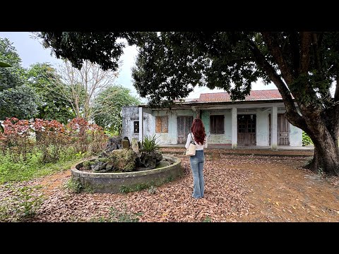 Successful Girl Returns to Her Old Home After 10 Years – What She Discovers Surprises Everyone!"