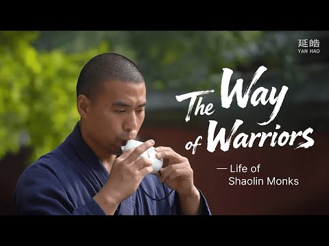[ENG SUB]The Way of Warriors — Life of Shaolin Monks#yanhao #shaolin #shaolinkungfu #ufc #brucelee
