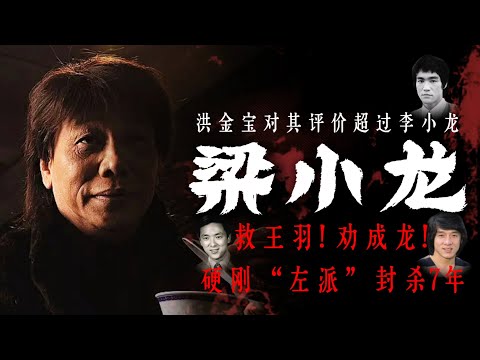 大战黑帮救王羽，劝成龙！硬刚「左派」封杀7年！被14K超级大佬「马交冯」欺负，洪金宝为何对梁小龙的评价超越李小龙？饰演「陈真」红遍中国，拒绝「亲台」组织无理要求而退圈