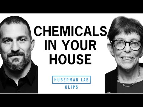 How to Reduce Chemical Exposure in Your House | Dr. Shanna Swan & Dr. Andrew Huberman