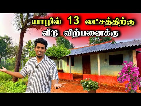 மலிவான விலையில் விற்பனைக்கு வந்த காணியும் வீடும் 😍🏡 | Thavakaran view 