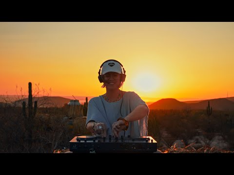 Melodic House Desert Sunset Mix | RÜFÜS DU SOL, Ben Böhmer, Bob Moses | Baja Mexico