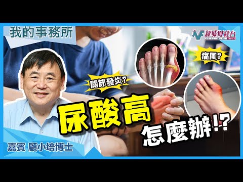 【我的事務所】尿酸高？關節發炎？痛風？呢樣健康食品幫到你！｜顧小培 劉婉芬