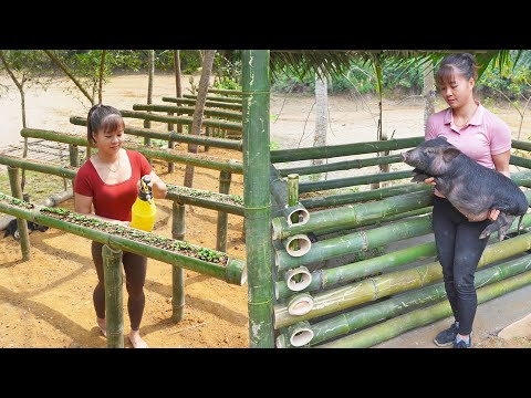 TIMELAPSE__268 Days Raising Pigs, Unique Technique of Growing Vegetables in Bamboo Tubes