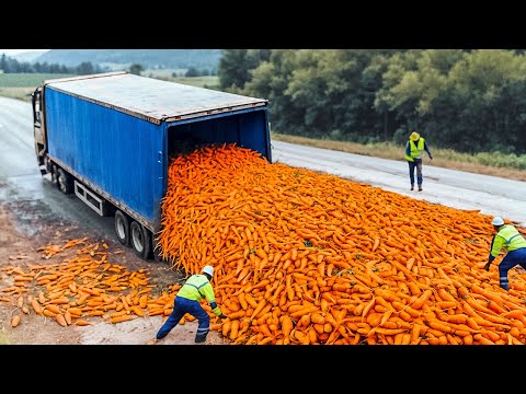 Les Erreurs les Plus Ridicules d'Employés Filmés