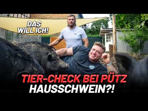 200kg Front Squats! (aber ich will lieber ein Hausschwein)