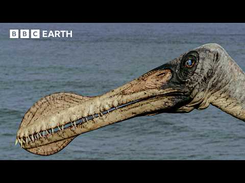Flying Giants of the Cretaceous | Walking with Dinosaurs (1999) | BBC Earth