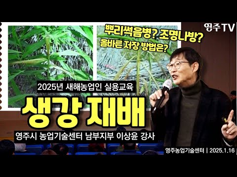 기초부터 자세히 배우는 생강재배 #2025 새해농업인 실용교육 #농업기술센터 #생강