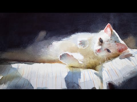Watercolor painting a cat - light and shadow
