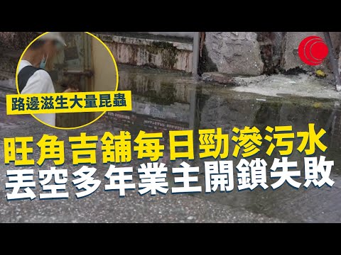 一線搜查｜旺角吉舖每日勁滲污水 丟空多年業主開鎖失敗 路邊滋生大量昆蟲 衛生問題不斷拖延｜866集｜有線新聞 林希靈｜ #一線搜查｜HOYTV 77台 #有線  #hoytv #上水