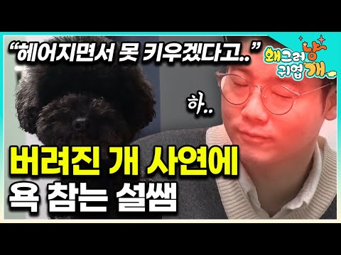 “산책 아예 안 시켰어요” 문제행동이 나타날 수밖에 없는 충격적 과거에 참을 인 쓰는 설쌤  │#왜그러냥귀엽개