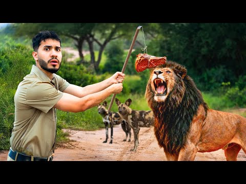 I spent 24 hours with DANGEROUS ANIMALS in AFRICA