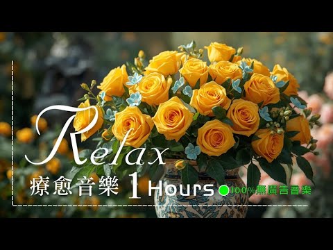 🟢【100% 無廣告音樂】黃色玫瑰亮眼  給人精神抖擻的樣子  淡淡清香讓人身心徹底放鬆  #能量養生輕音樂 #深度放鬆 #疏肝解鬱 #聽後心平氣和 #多巴胺分泌音樂