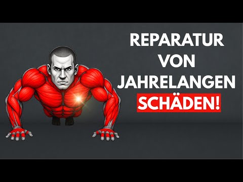 Wie Liegestütze Den Menschlichen Körper Komplett Verändern