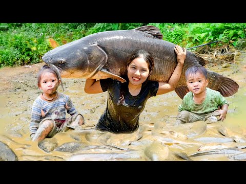 Harvesting Giant Fish Pond Full of Carp and Catfish - Bring them to Market to Sell with My Daughter