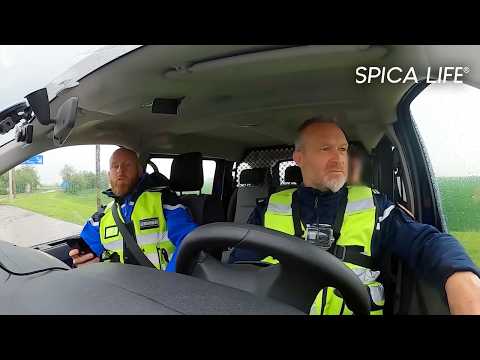 National Gendarmerie: on alert against speed enthusiasts