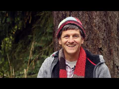 Bird Language - Shapes of Alarm