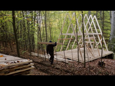 Man Built A Shapely House in the Forest in 30 Days