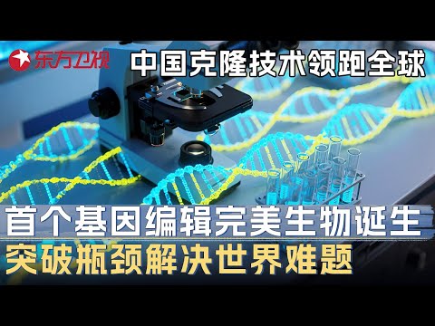 中国核克隆技术领跑全球! 首个基因编辑下的完美生物诞生, 突破人类极限解决世界难题 #未来说执牛耳者 第八季 第23集 FULL