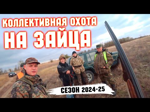 СТОЛЬКО ЗАЙЦА мы еще не видели! Открытие сезона!Hare hunting.#охотаназайцапочернотропу #охотаназайца