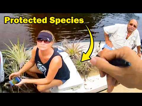 POACHING Florida's PROTECTED Air Plants