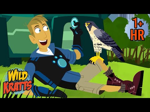 Creature Power Challenge | Action-Packed Adventures with the Kratts | 9 Story Kids