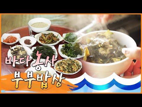 바다농사 부부밥상 #어영차바다야스페셜 #제주 우도 #신안 새우젓