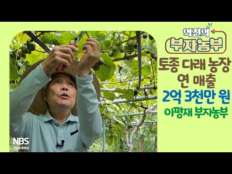 [역전의부자농부 216회] 토종 다래 농장 운영으로 연 매출 2억 3천만 원! 전남 광양 이평재 부자농부