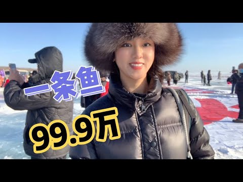 52斤胖头鱼99.9万？价值连城的鱼就在我家门口，竞拍现场太激烈啦【莹莹】