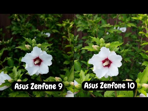 Asus Zenfone 9 vs Asus Zenfone 10 || camera comparision 1