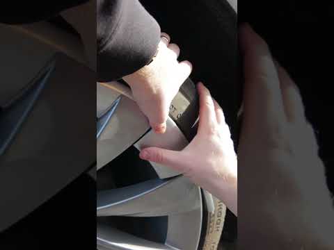 MUST HAVE Accessory For Tesla Model Y!