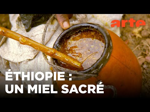 Éthiopie, des abeilles au service de la foi | Les maîtres des abeilles | ARTE Évasion