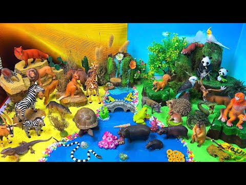 Explore the Animal World! πΏπΎ Jungle, Desert & River Diorama