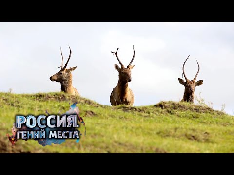 Алтай. Россия. Гений места 🌏 Моя Планета
