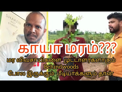 எட்டு வருடத்தில் இரண்டு டன் பல லட்சம் ரூபாய் காயா மரங்கள்|African #khayasenegalensis|khaya mahogany