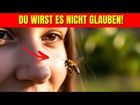 Erkennen Bienen Menschen? Die schockierende Wahrheit!