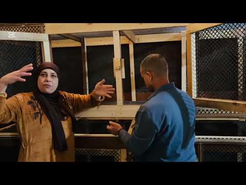 A journey of a thousand miles begins with a single step, and I've decided to start my life's proj...